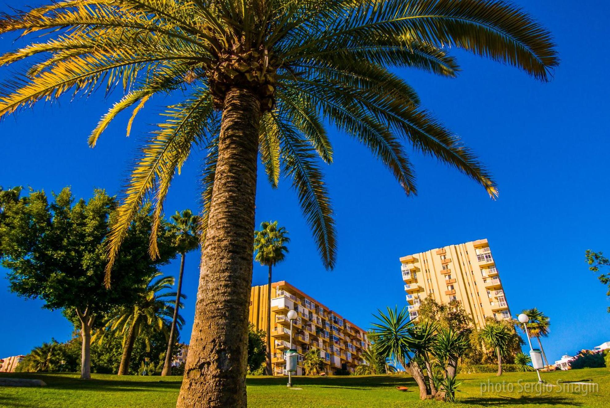 237 Estudio En Minerva Apartamentos - Piscina Y Playa- Excelente Ubicacion Málaga Exteriör bild